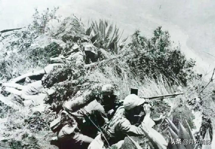 1948年11月22日深夜，华东野战军指挥部里，一份电报刚刚译出。话音落下的瞬间