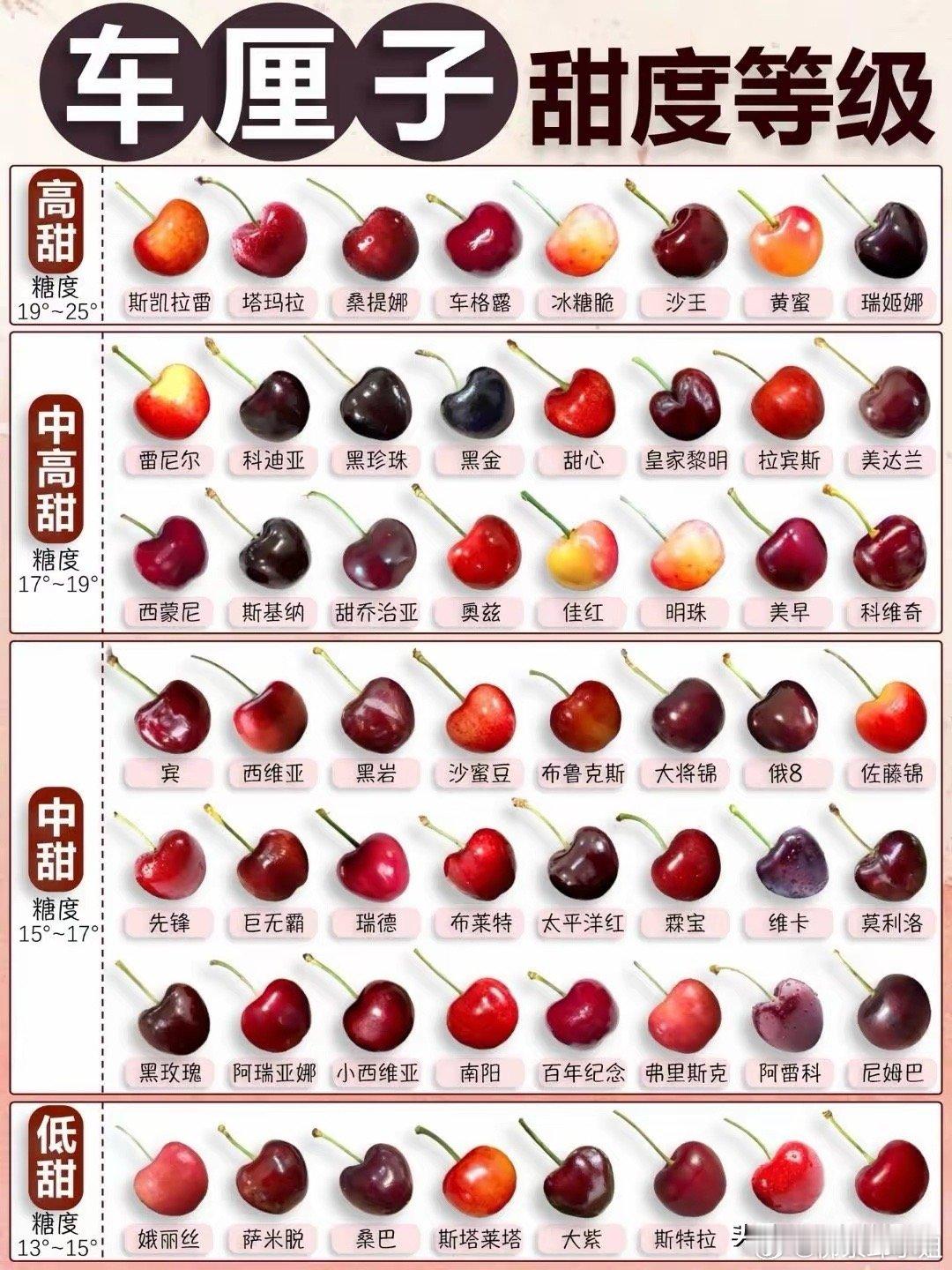 车厘子 褪黑素车厘子甜度大排名，哪种最甜一目了然！🍒🍒🍒车厘子甜度大排名来