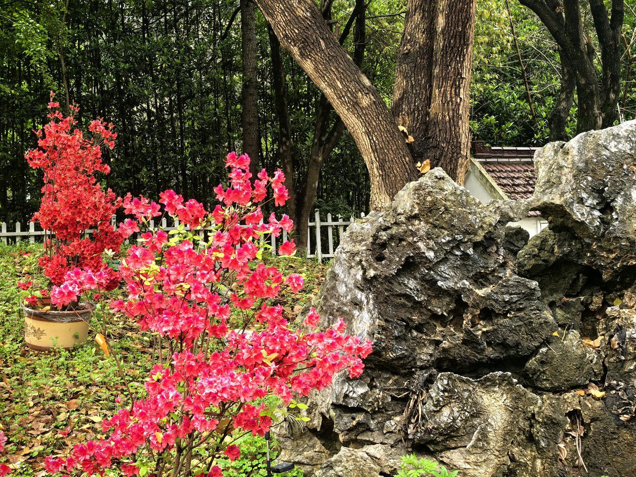 最懂基层的60、70后悄然退出了“历史舞台”，而不少年富力强的80、90后慢慢选