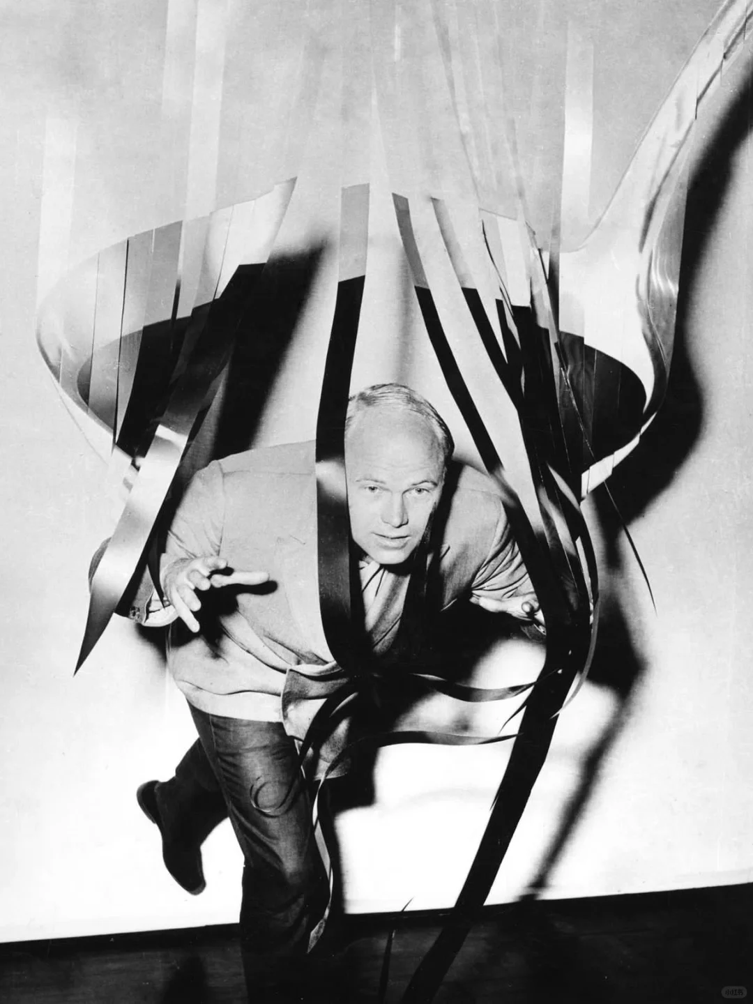 艺术家分享丨James Rosenquist💫