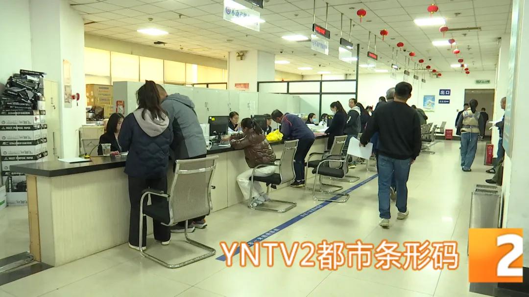 2026 年昆明中小学新生入学报名季到了，“不动产查询”业务需求一下就多起来了。