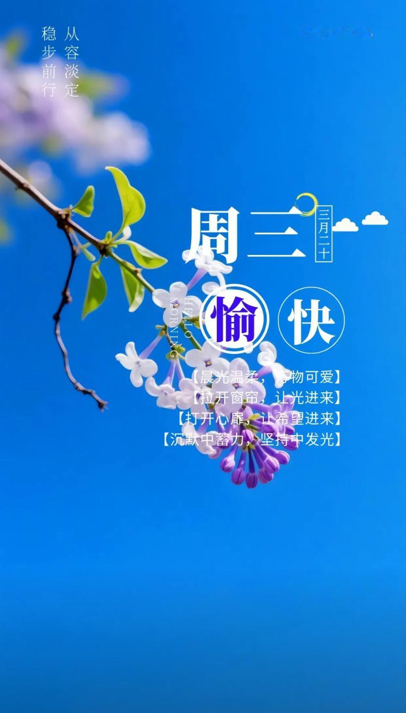 夏晨问安，夏初风暖万事安，日长景顺福常伴。
2026./05.06.
[微风][