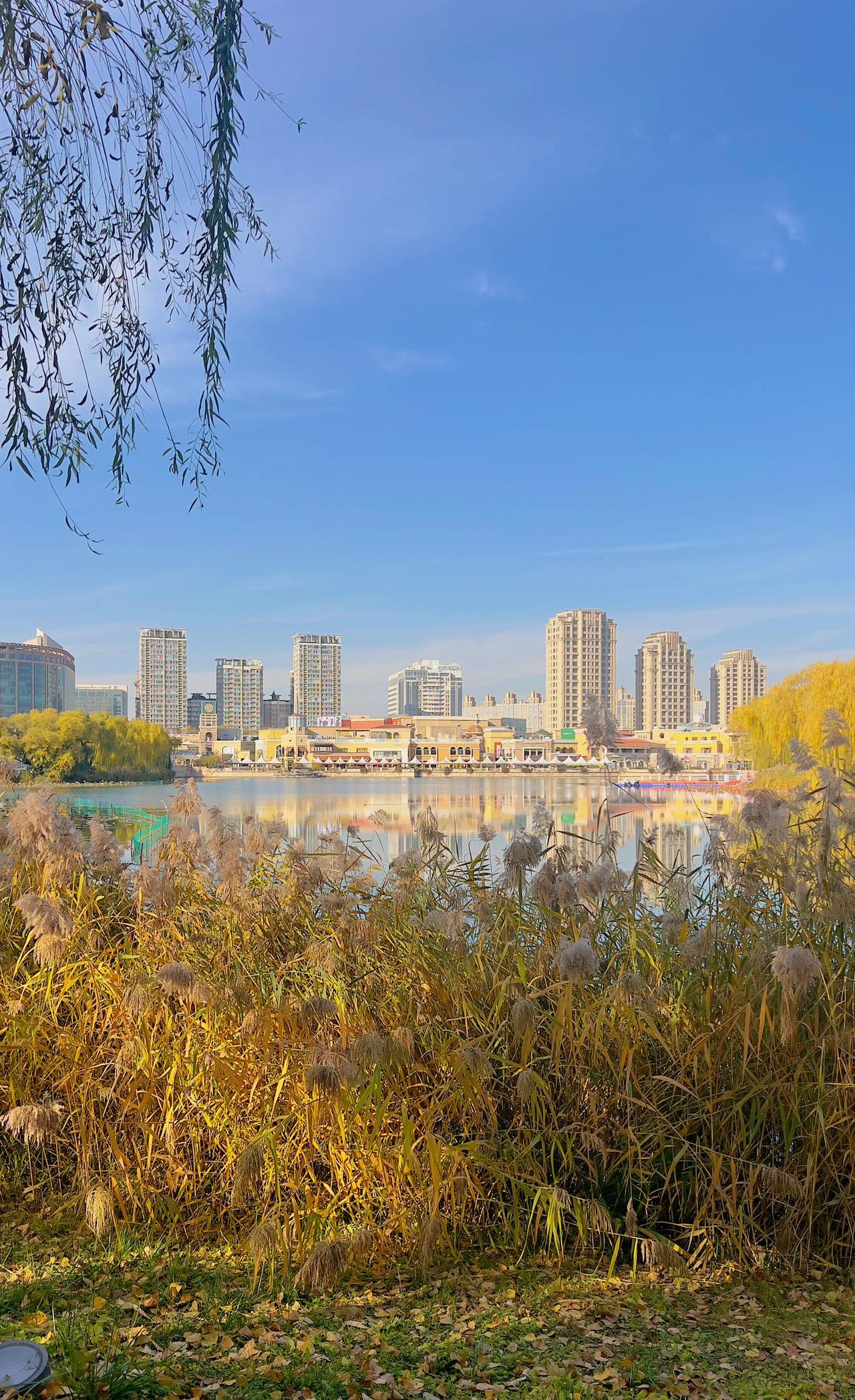 【原创】冬日暖阳，朝阳公园风光无限