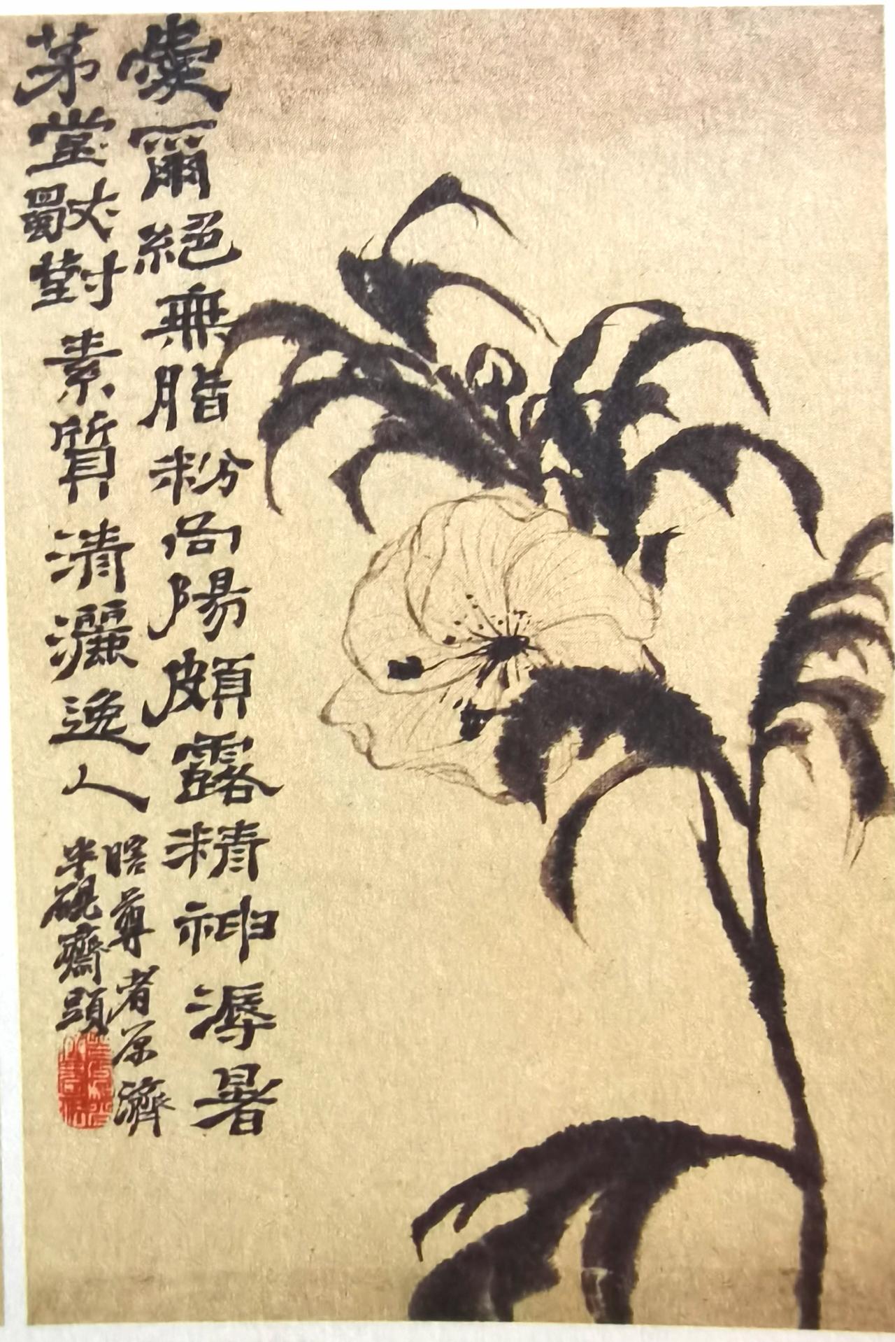 是什么花，一时真看不出来。画上也没说。只从题词上知道是夏天的花。素质清丽逸人。这