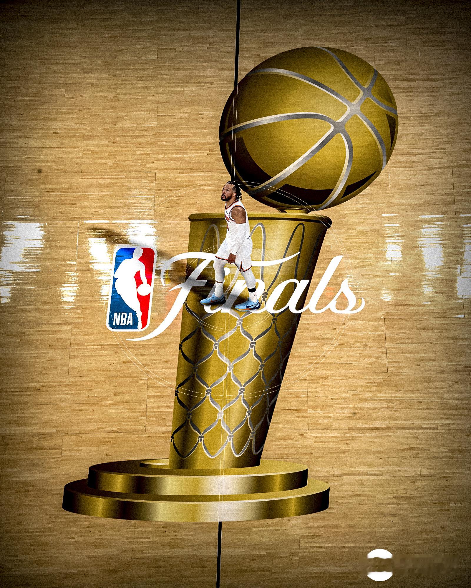 新皇诞生！NBA总决赛尼克斯总冠军