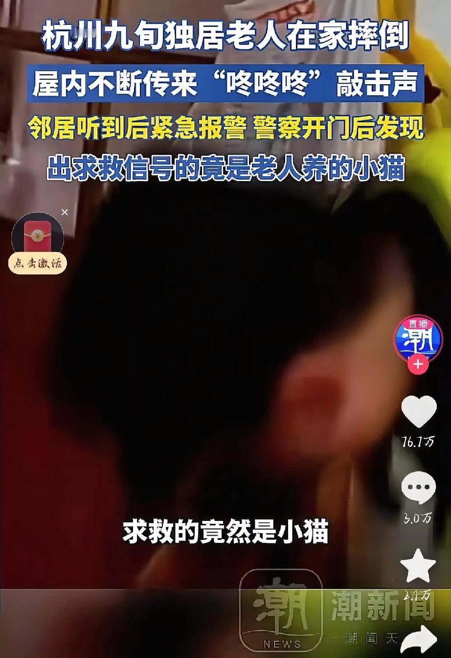 杭州九旬老人摔倒，救命的竟是一只猫！

杭州一位九十岁的独居奶奶在家摔倒昏迷，屋