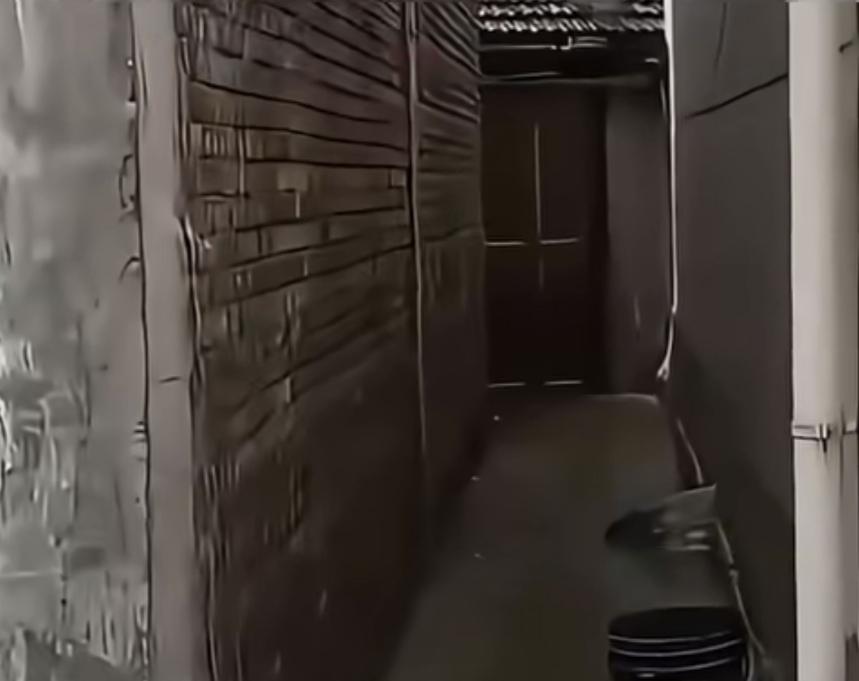 小伙常年不回村里居住
房屋已被邻居新房挡住
小伙：我的路没了，不知道该怎么办，把