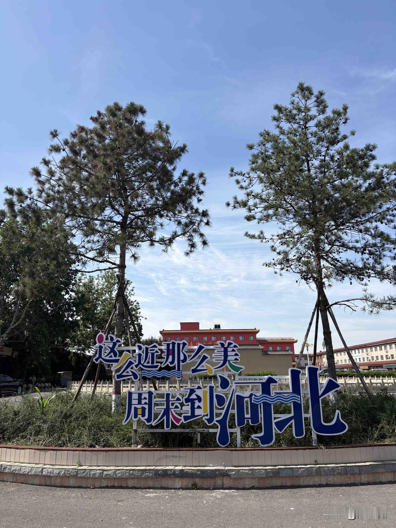 庄里四区小学生都放了一天假吧 ？