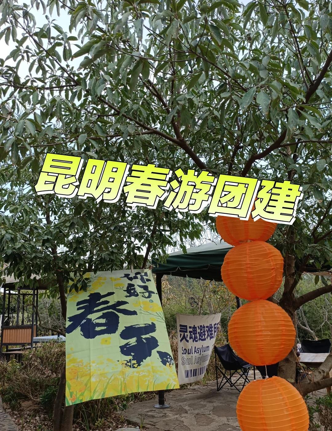 昆明/春游团建聚会好去处
🌹我们的春游，爬西山，看滇池美景，吃绿色山茅野菜。