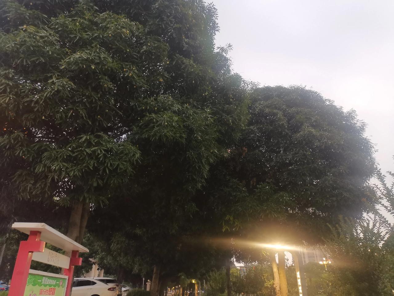 高考结束，侄子打电话问我：“姑姑，你那边有工厂招收暑假工吗？现在离大学开学还有几