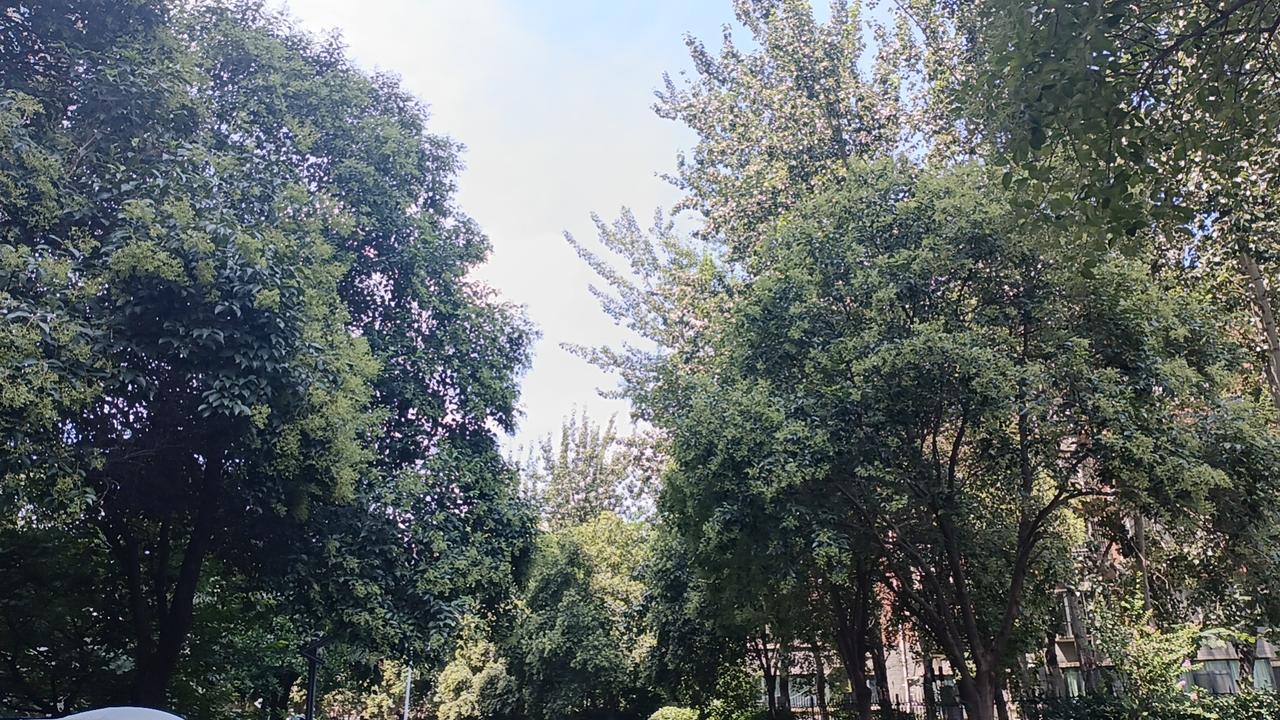 很早的时候，单位组织过无偿献血。普通员工就行，越普通越好。
不需要你有特殊身份，
