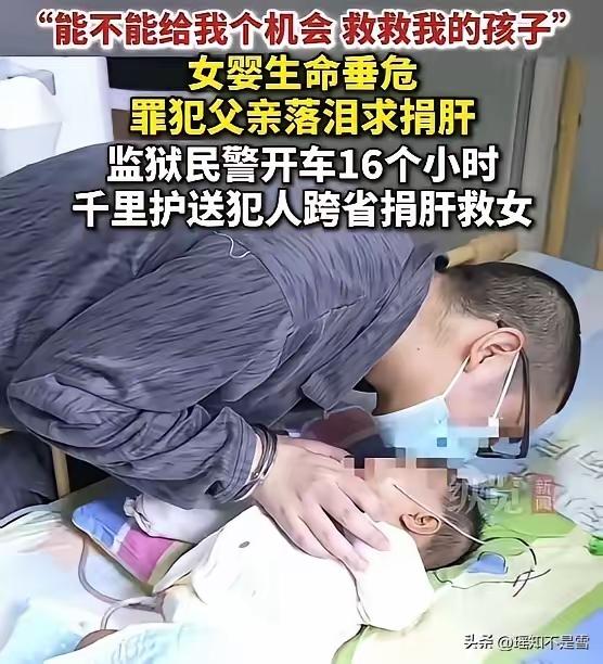 “太有人情味儿了！”浙江，一男子因诈骗罪入狱，他的女儿在这时候被确诊为先天性胆道