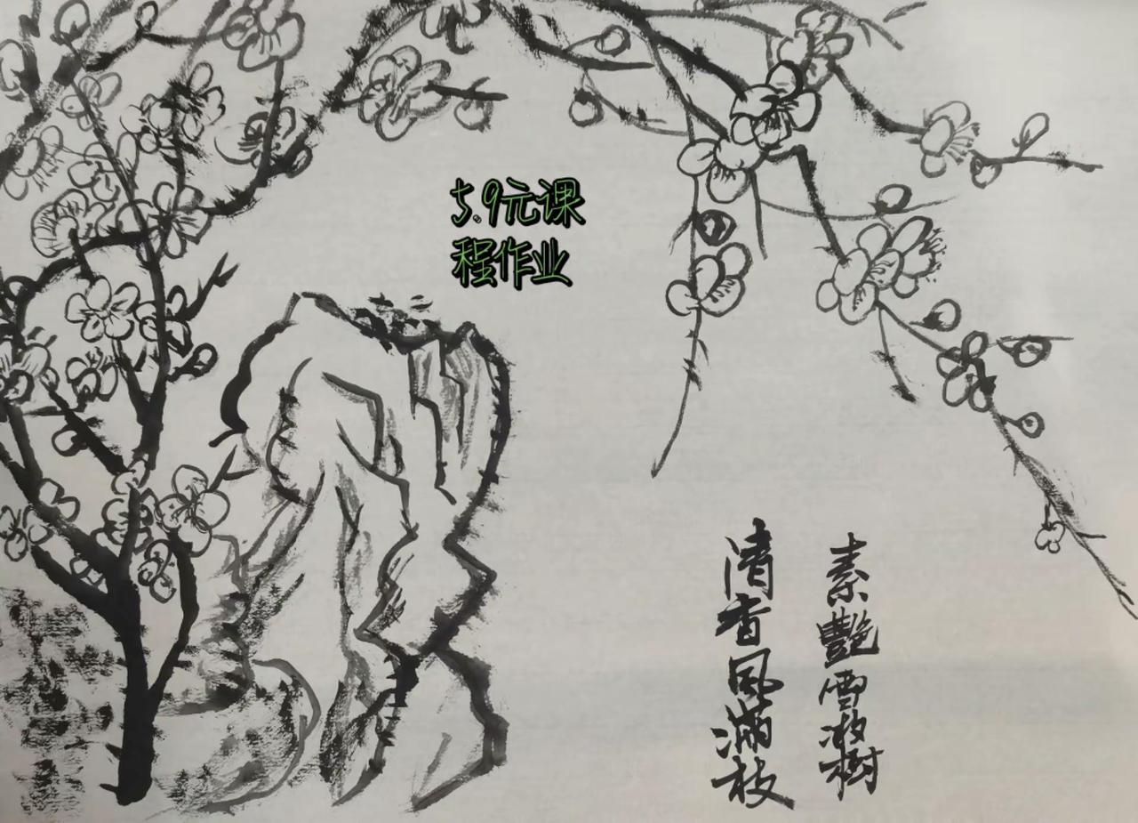 5.9元课程作业。课程包括梅花，葡萄，鹰、翠鸟，荷花，虾。每种不足一元，引人入门