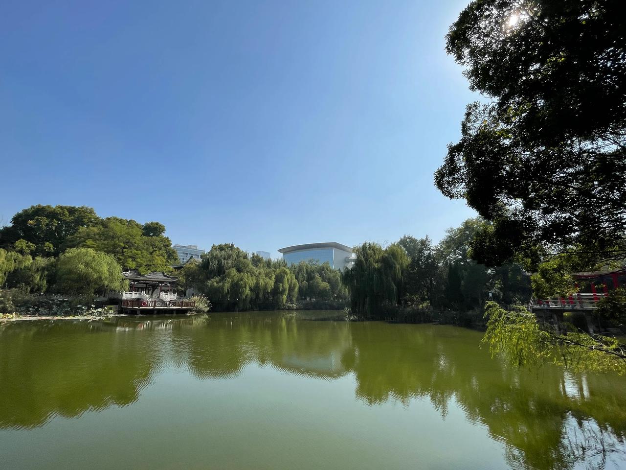  #石家庄身边事# #城市# 长安公园是石家庄截止到目前改造最成功的公园，整体环