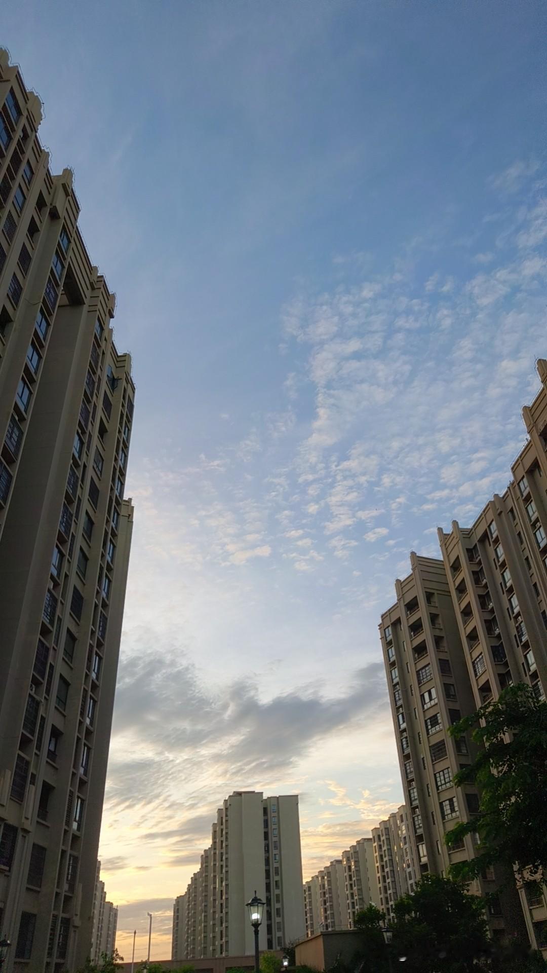 清晨6：00，椰城晨曦初现，凤凰花依旧肆意绽放。天空高远，那一块块斑斓多姿的火烧