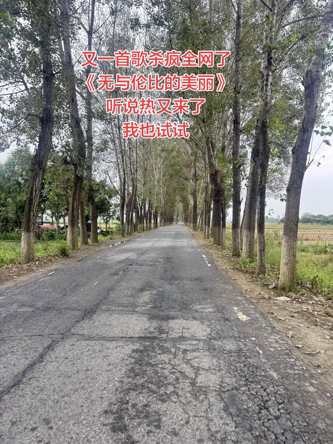 乡间小路，风吹万物，平凡的风景，也藏着无与伦比的美丽。玩法合伙人计划 创意玩法文