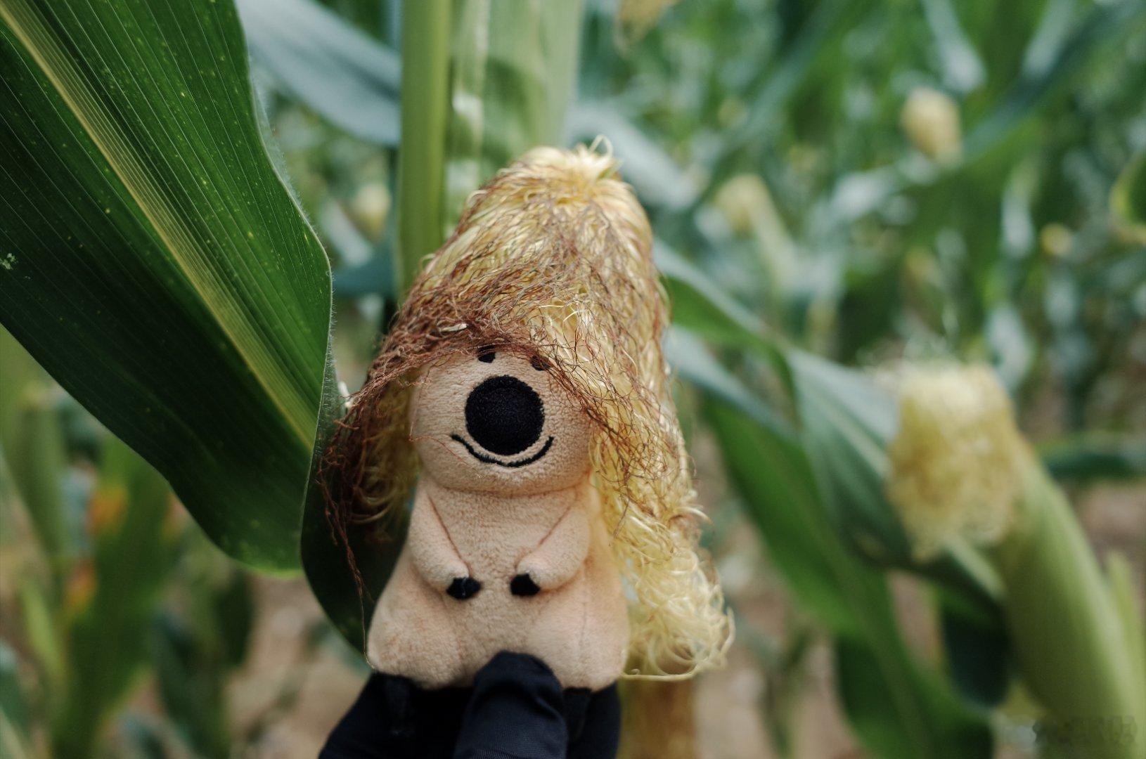 Hey  Baby  Let's  Rock and Corn 🌽当我遇到一片