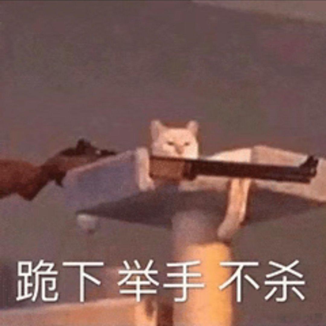 表情大放送，不容错过！ ​​​