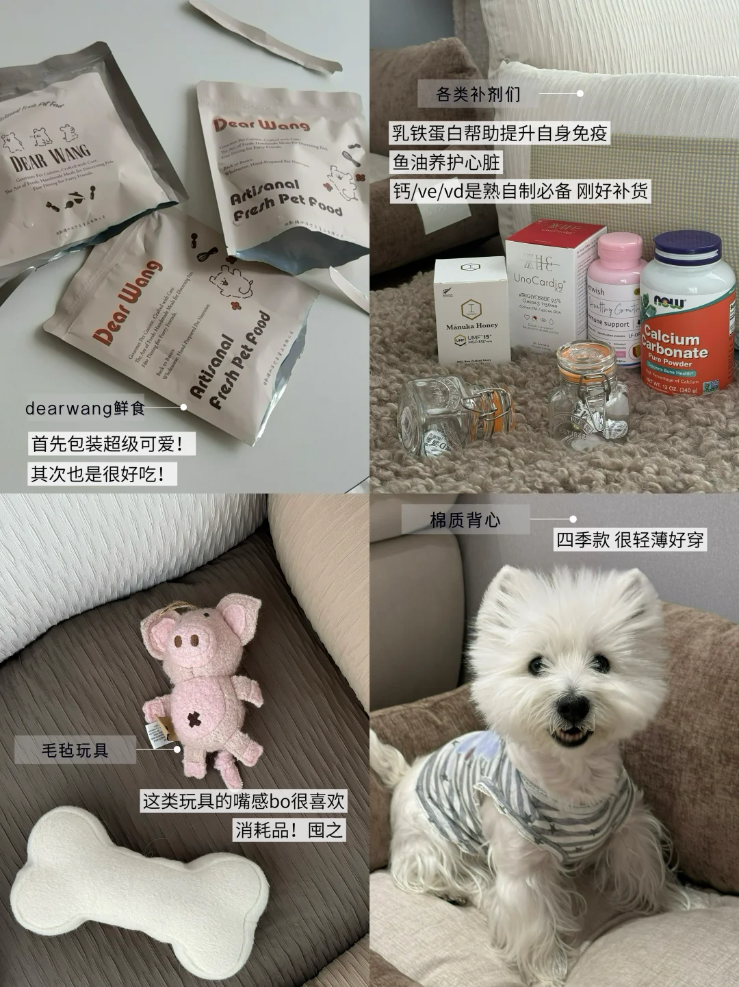 科学养狗｜西高地小狗的大促囤货购物清单🧾