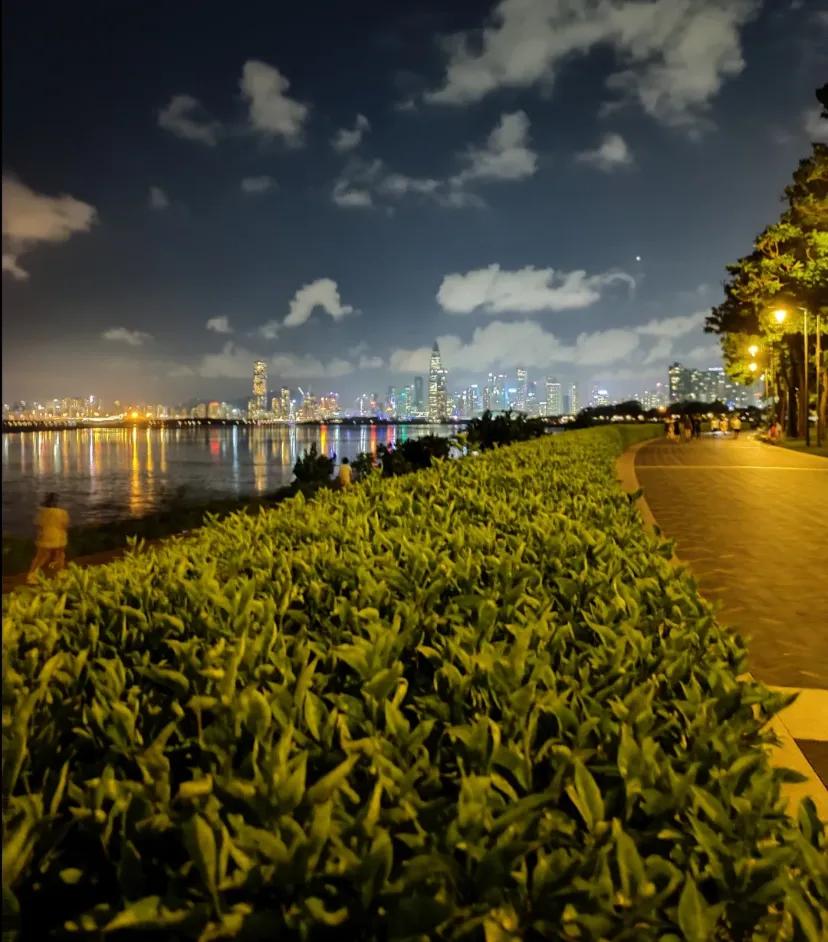 天啊，深圳湾都开始卷了
夜跑的快乐 撸铁 #夜景
