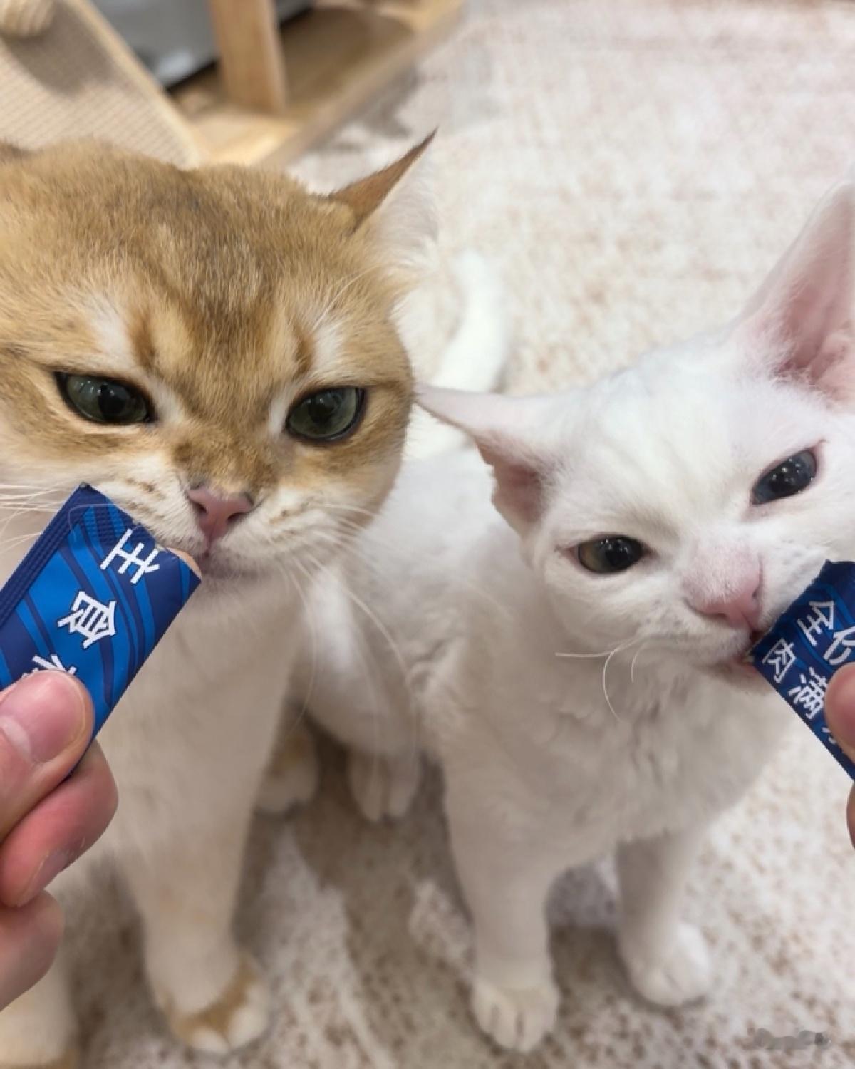十九和uu长得怎么有点像了 