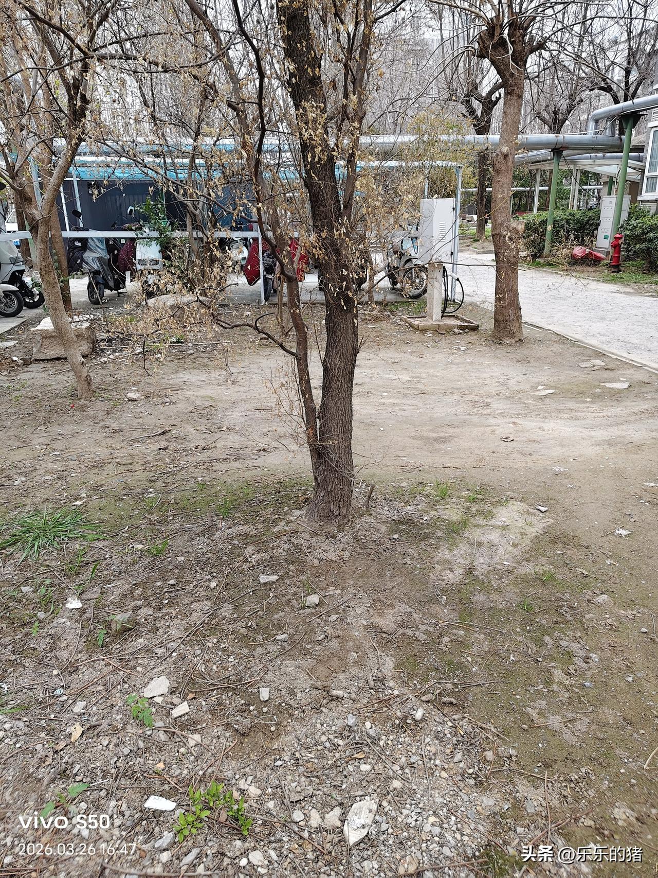 前几天我妈的手机坏了，我妈就去借隔壁大奶奶的手机想打电话告诉我，大奶奶就说手机没