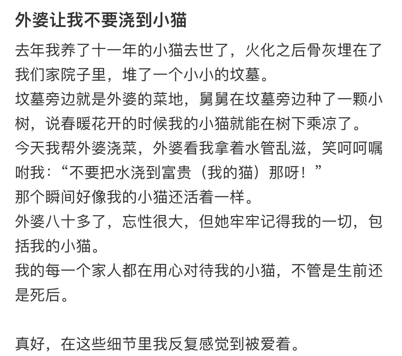 外婆让我不要浇到小猫 ！！！ 