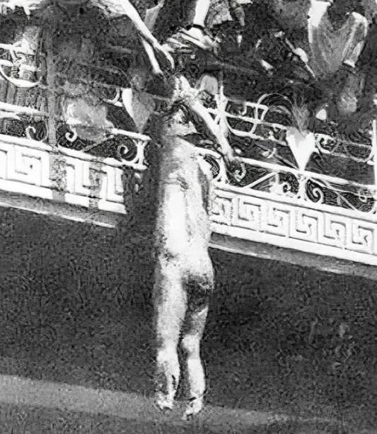 这位外国国王到底干了什么，才换来如此惨烈的结局？传言1958年，23岁的伊拉克国