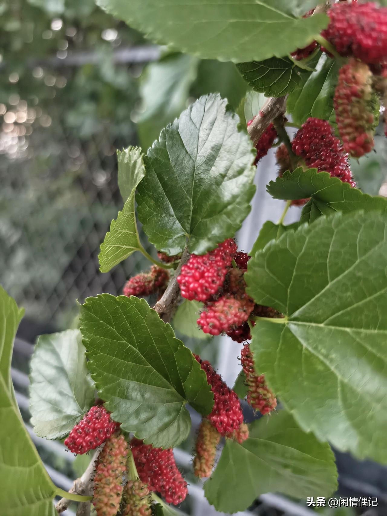 做自媒体找赛道这事儿，别一上来就琢磨“做啥能火”，那叫碰运气，不叫创业。真靠谱的