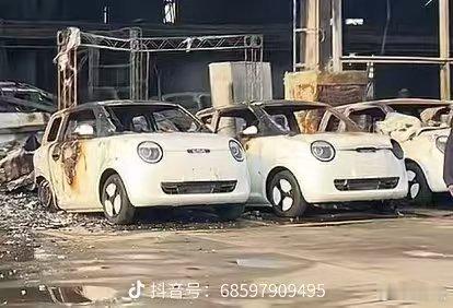 糯玉米变烤玉米了[费解][允悲] ​​​