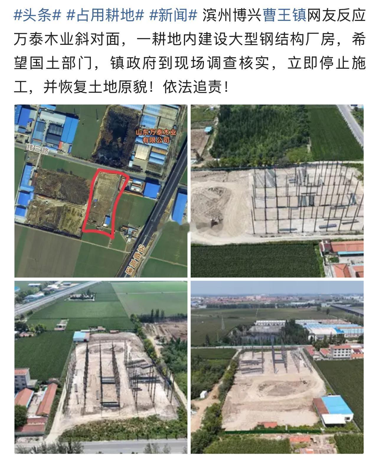 今日头条网友爆料：滨州博兴曹王镇网友反应万泰木业斜对面，一耕地内建设大型钢结构厂