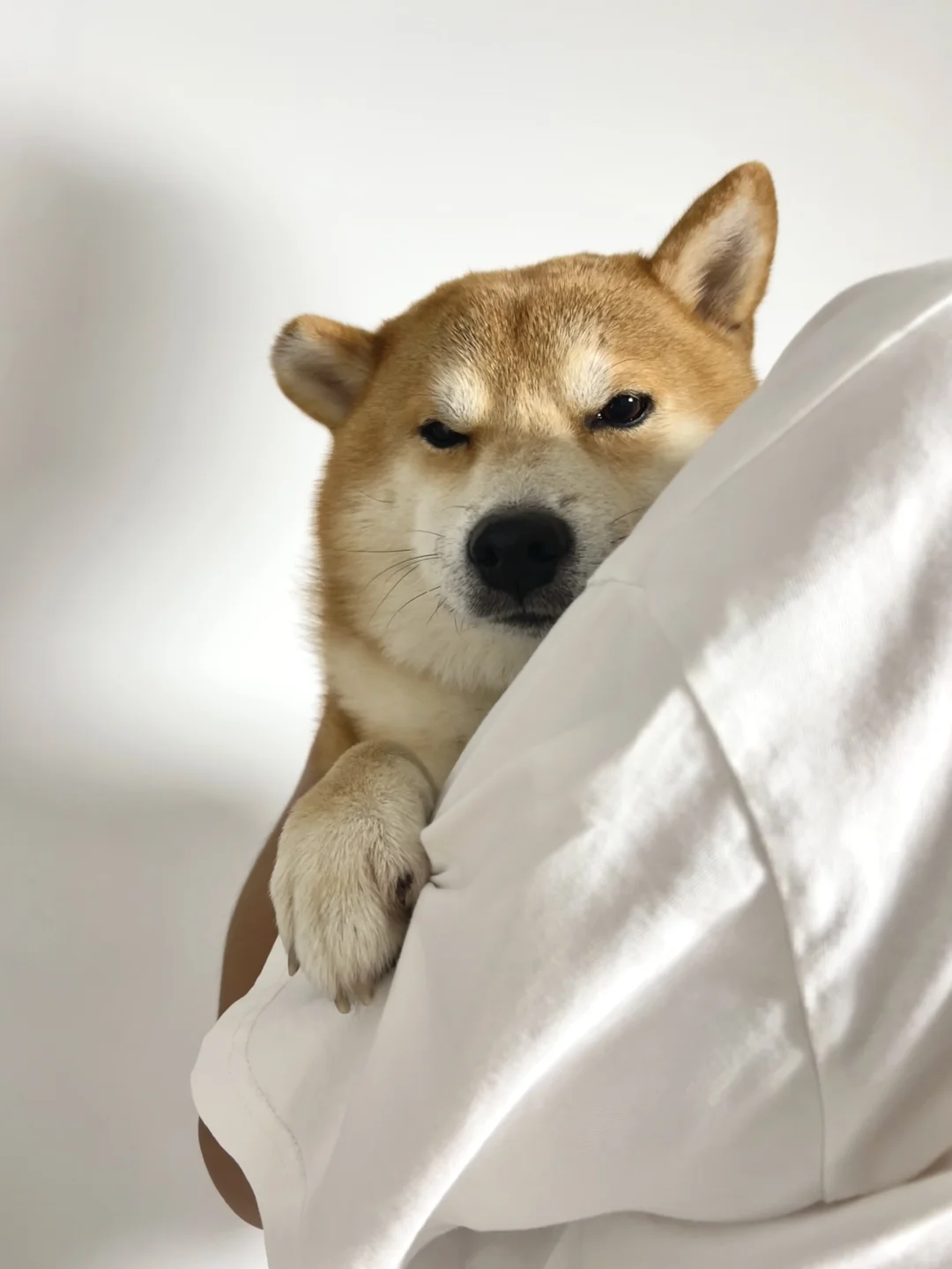 救命🆘他好像个小宝宝啊