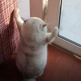 萌萌哒爱玩娱乐