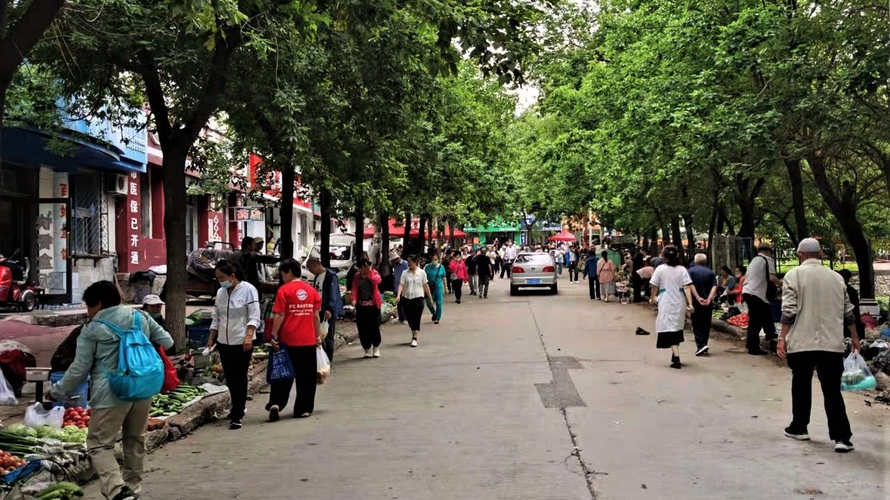 80年代初鹤岗的九马路记忆（一）
       说到“九马路”，外地朋友可能不了