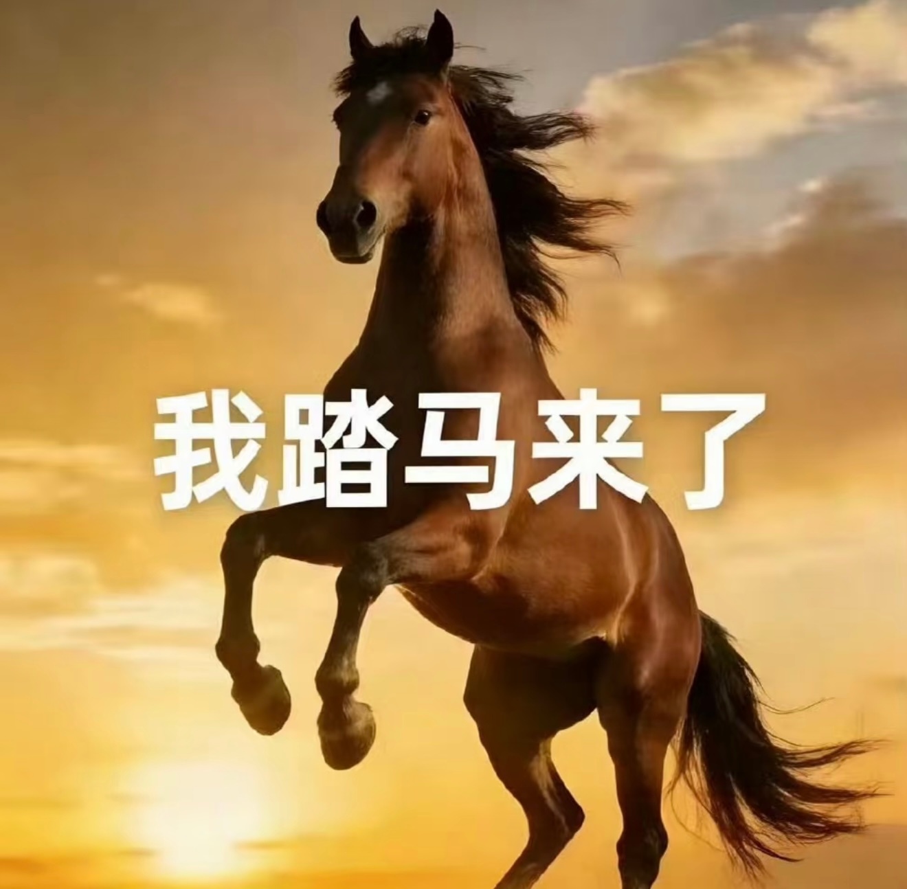 大伙今晚元旦跨年准备做什么啊？ 