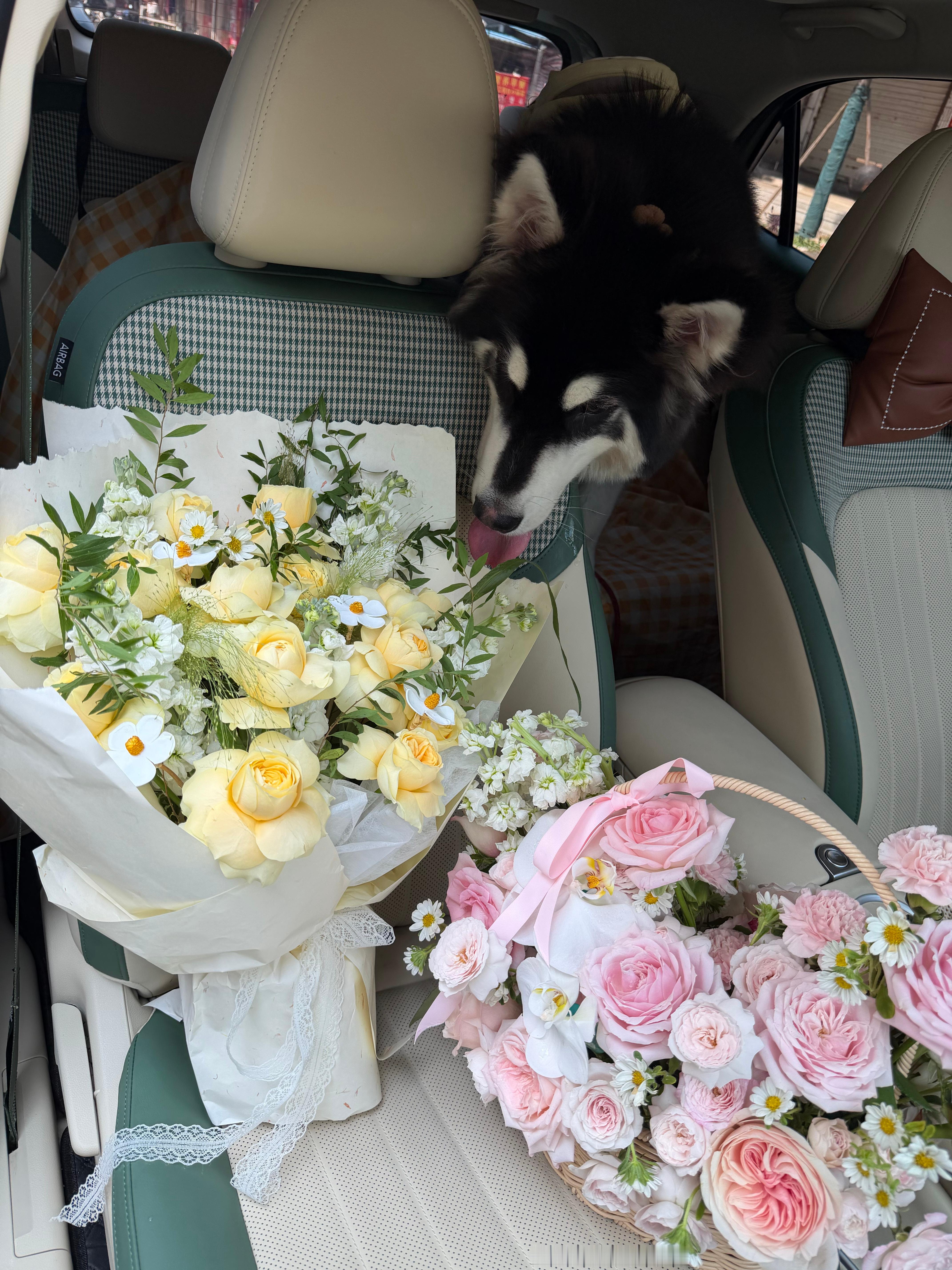 听说你把花花草草修剪的很好，我也会把日子过好。 ​​​