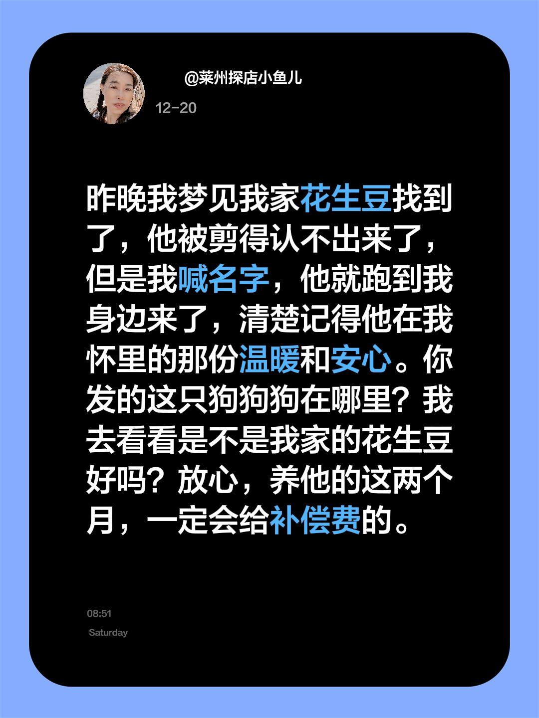 梦见狗狗找到了。我评论了 的作品： 昨晚我梦见我家花生豆找到了，他被剪...