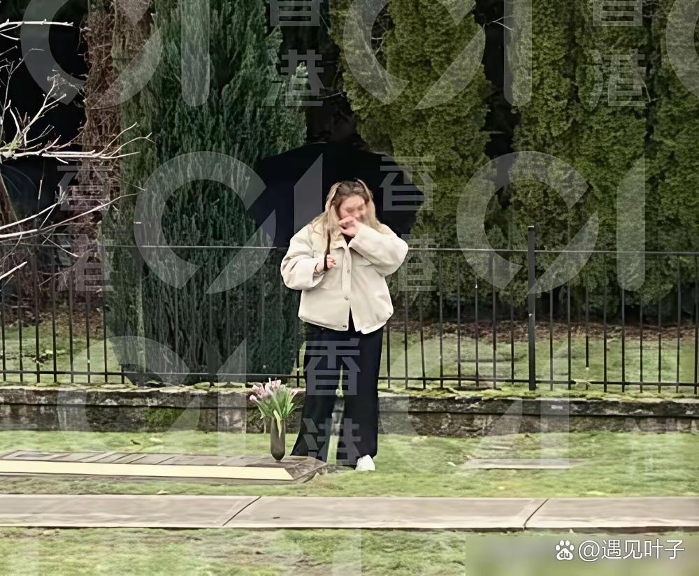 郑欣宜被拍到独自在加拿大墓园痛哭，身边无人陪伴。母亲沈殿霞生前留下信托，估值过亿