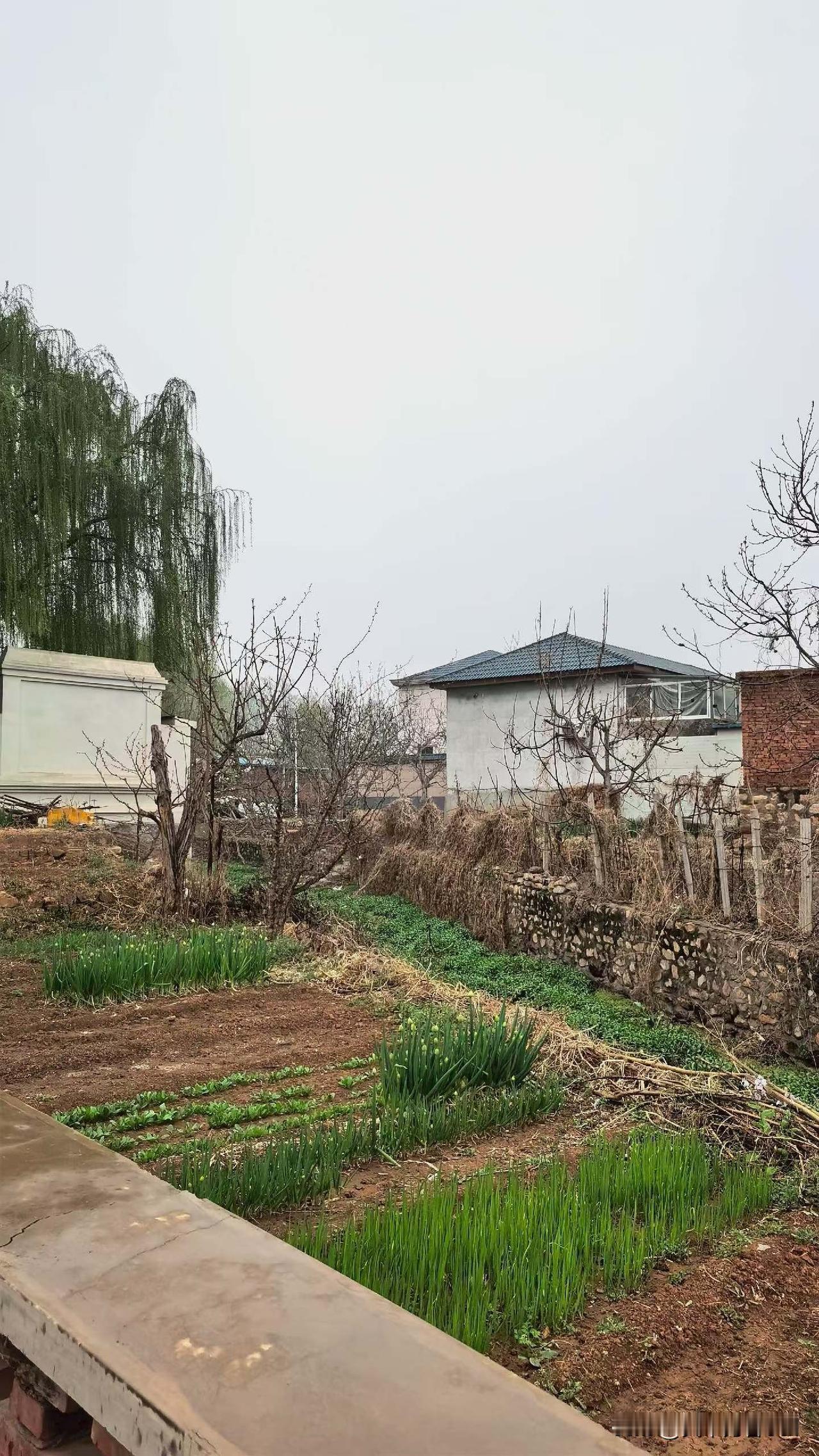 在大公司和小公司上班差异大吗?差距太大了，天地之别，一个是规矩，一个是随性。