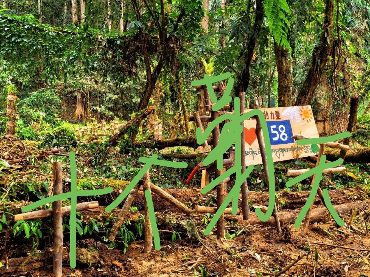 十个勤天种地吧 这个"十个勤天"很酷哦！！ 