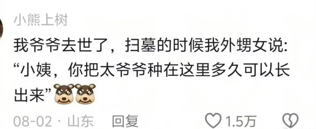 9906小孩子的神奇语言系统！！ 