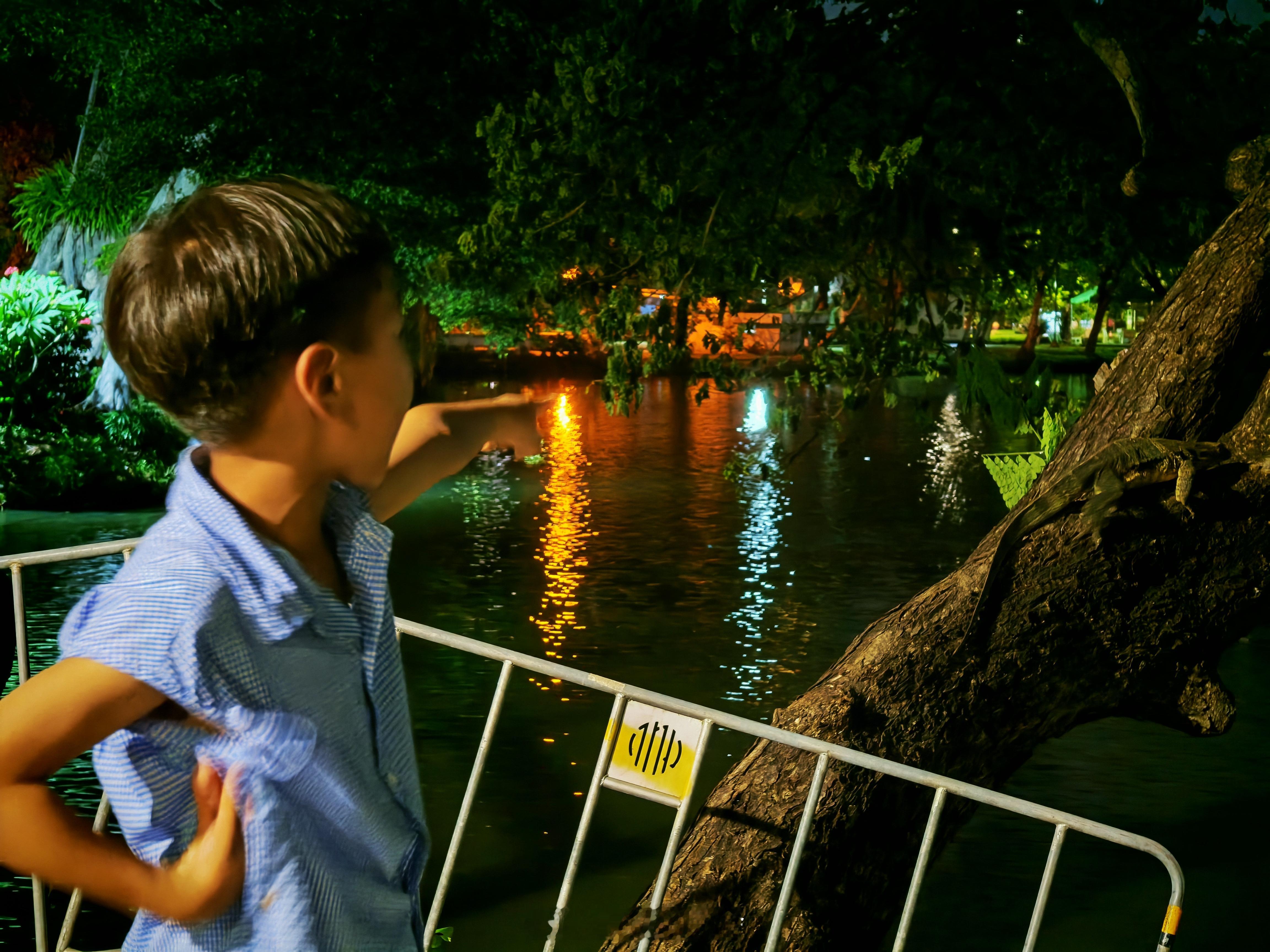 晚上陪娃去Lumphini Park看了蜥蜴🦎岸边、树上看到了好几条顺便正好满