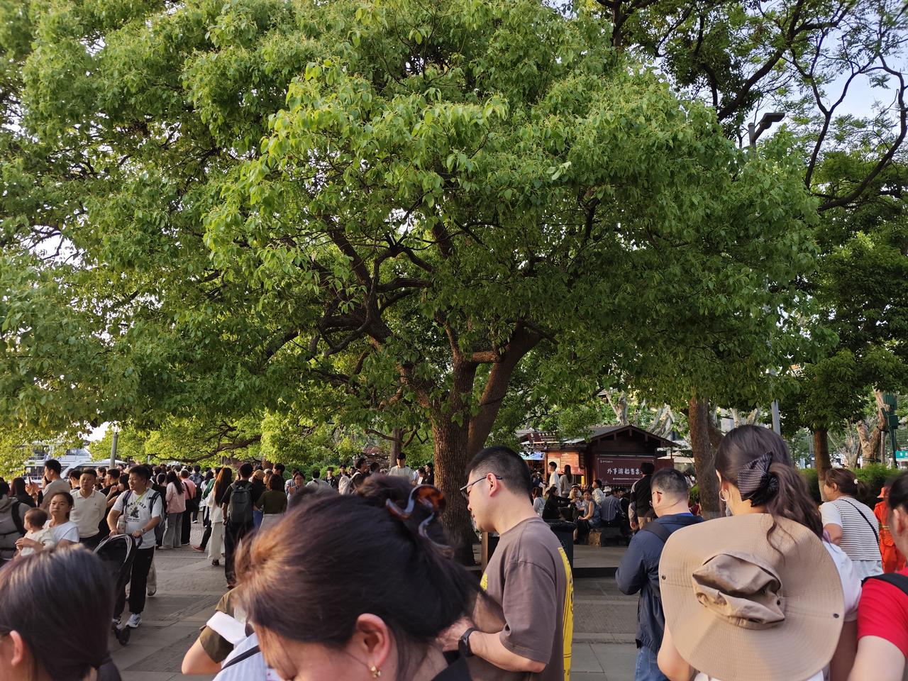 我认为不值得，本来五一景区就是人山人海在去挤热门景区看什么？高个子看人头矮个子看