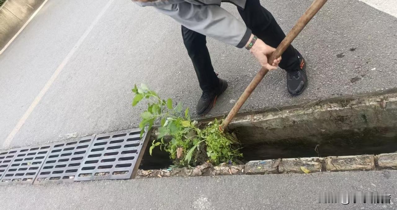 邻居大姨说她的种植牙掉了，被冲进下水道了，求邻居们帮忙找找。由于是老小区，把下水