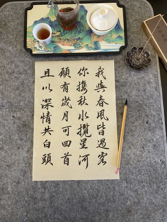 我与春风皆过客 你携秋水揽星河