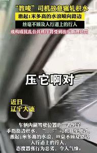 在辽宁大连，一名男子坐在副驾驶，指着路边的积水，竟然“教唆”司机开车冲过去，完全