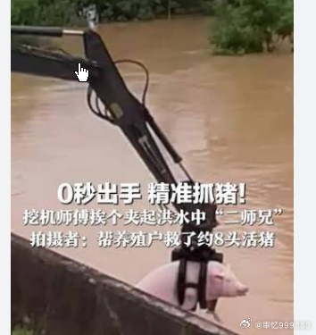 挖机师傅挨个夹起洪水中“二师兄”试图用自己的力量阻止洪水。他的英勇行为感动了全村