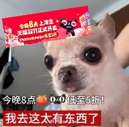 把数码选购玩成闯关游戏！AI雨哥带来趣味任务，UP主实景对战，直播间数码好物扎堆