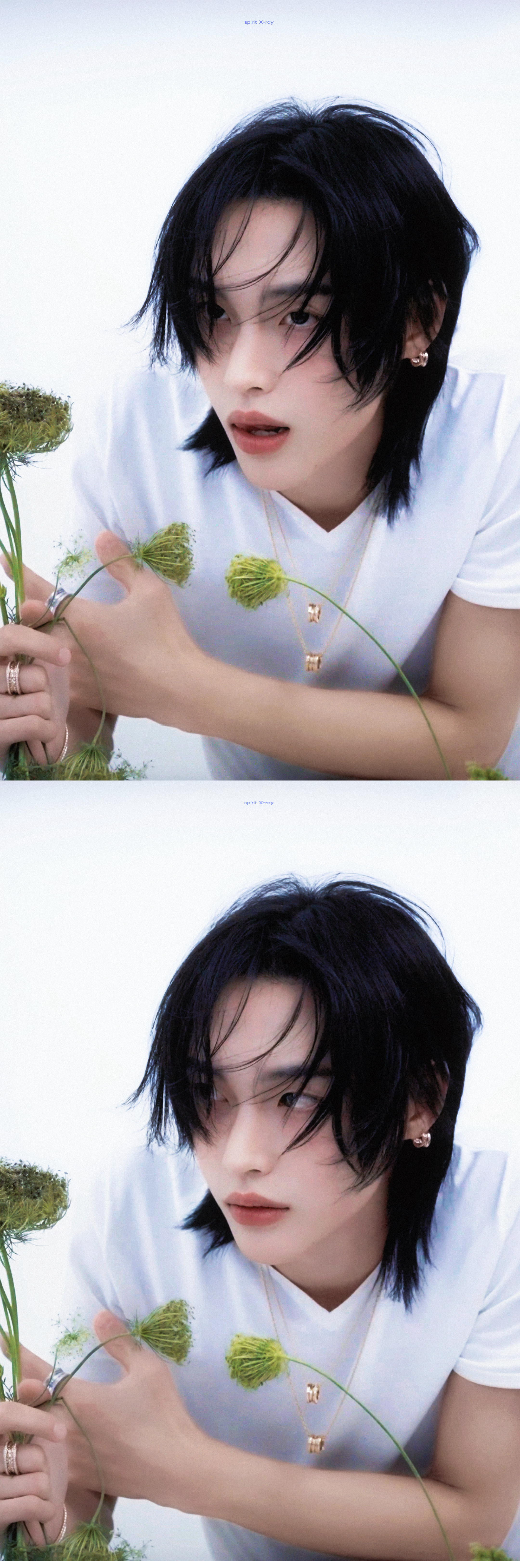 -杜松混合茉莉的风 