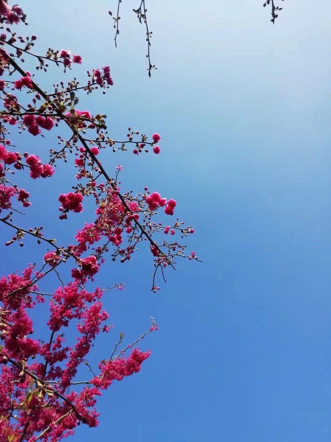 现在很多人
月薪就三四千块钱左右
连五六千都没有

其实这种情况在小县城很正常